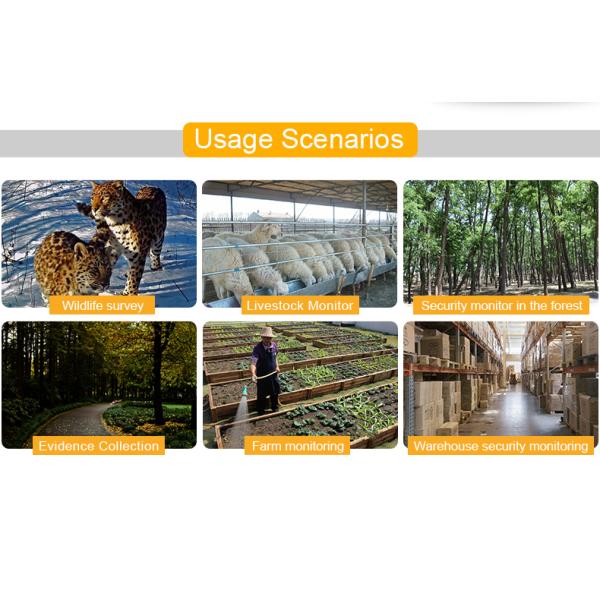 4k Ip65 Waterproof Night Vision Wildlife Camera 30fps Outdoor 60M 38PC IR LED