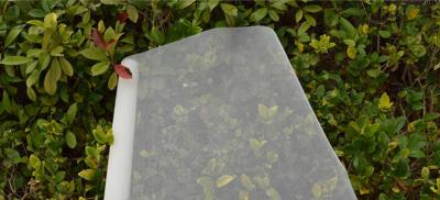 Fly Proof Fibreglass Insect Mesh Roll 0.5-3m 16x16mesh For Windows