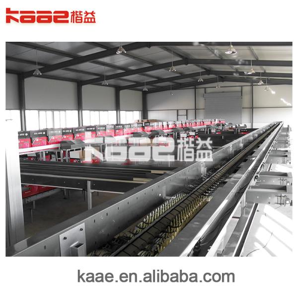 Full Auto Photoelectrical Fruits Grader Line For Fruits And Vegetables Sorting And Grading