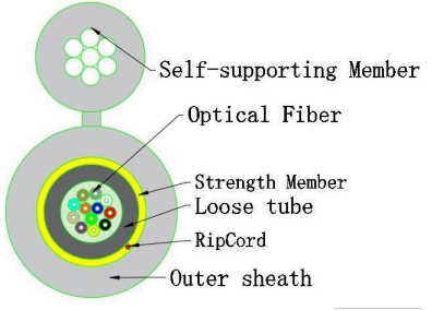 Small 8 Type Optical Cable GJYXTC8Y-12X