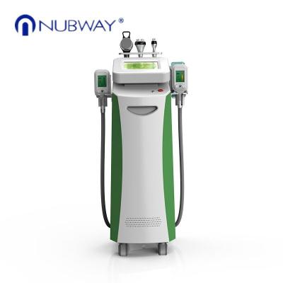 Fat Freeze slimm best seller high performance good quality 5 heads cryolipolysis slimming lipolaser fat frezzing machine