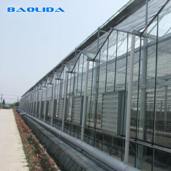 Boa anti idade impermeável do crescimento agrícola da flor da estufa do estilo de Venlo