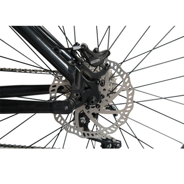 Hydraulic Disc Brake and Kenda Tire 26 inch Alloy Frame Electric Mountain Bike for OEM