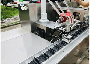 Multi-Function 50bag/min Box Filling Machine for Precise and Consistent Filling
