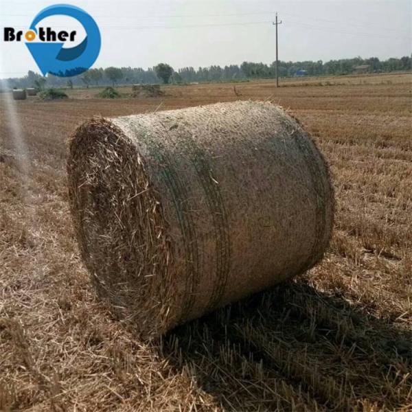 Factory Direct Sales Multi-Colored HDPE High Density Polyester Mesh for Grassland