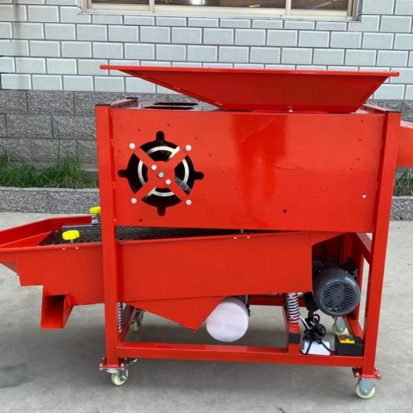 garlic bulb  separating and grading  machine  ，garlic bulb into cloves and grading  integrated maching  RYFF-800