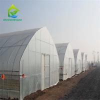 Agriculture en aluminium d'oignon de serre chaude de tunnel de double couche d'OEM poly