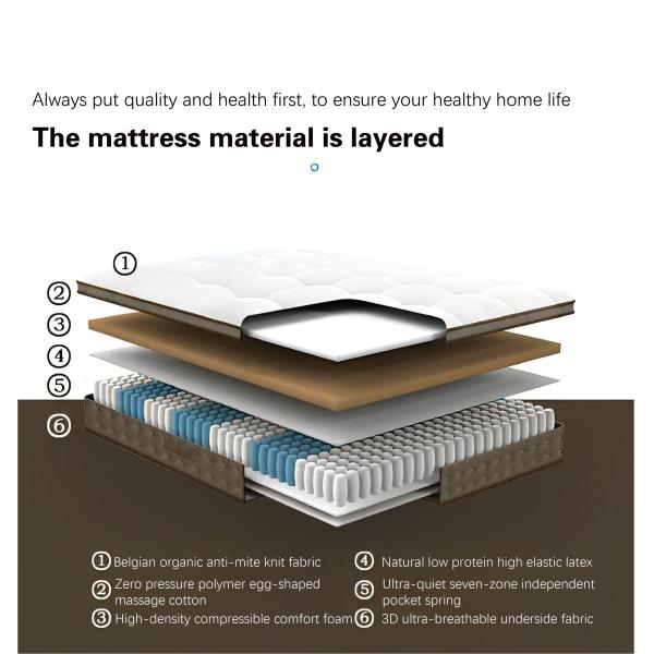 Natural Latex Organic Materials Flexible Spinal Protection for Bedroom Sofa Cushion
