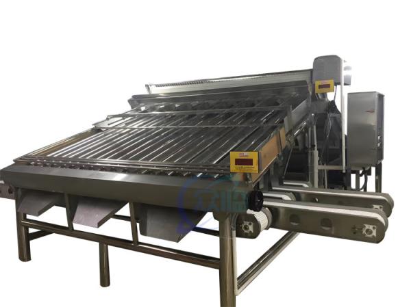 Máquina de classificação de camarão de 4,9KW durável automática para dimensionamento de camarão