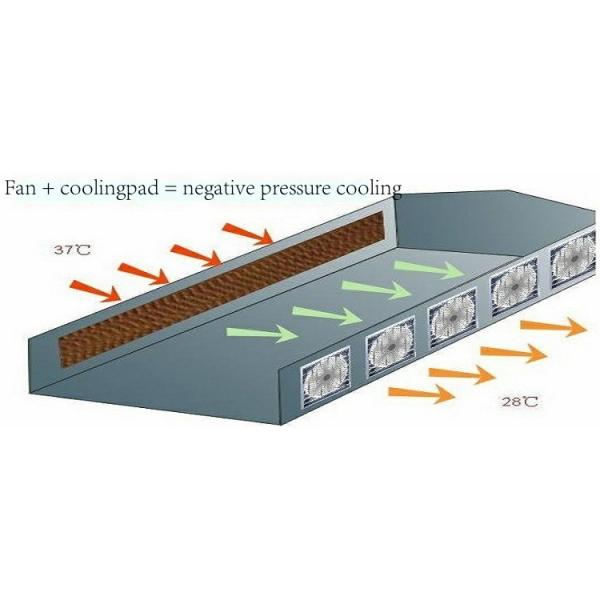Inteligente Inteligente Agrícola Gótica Invernadero Tamaño de personalización