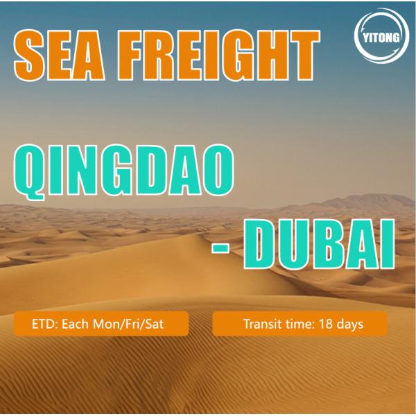 International Professional FCL LCL Sea Freight Forwarder to Dubai From China