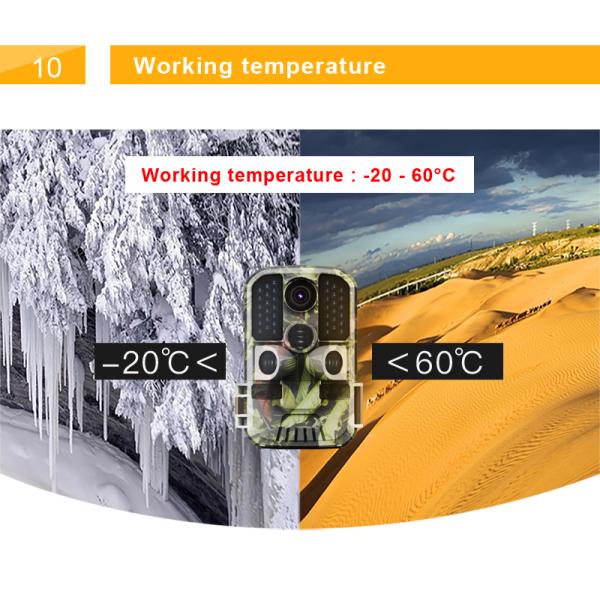 Infrared Ip65 1080p Waterproof HD Night Vision Wildlife Camera 20 Meters Game