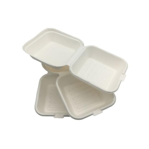 6×6 Inch 530ml 20g Biodegradable Food Boxes