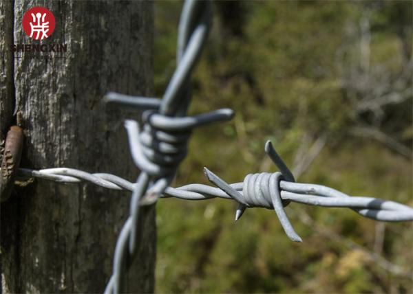 Cross Razor 8m Galvanized Razor Barbed Wire Protective Construction