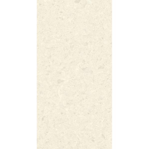 Large White Porcelain Ceramic Wall Floor Tiles Modern Matt Stone Texture 600X1200mm