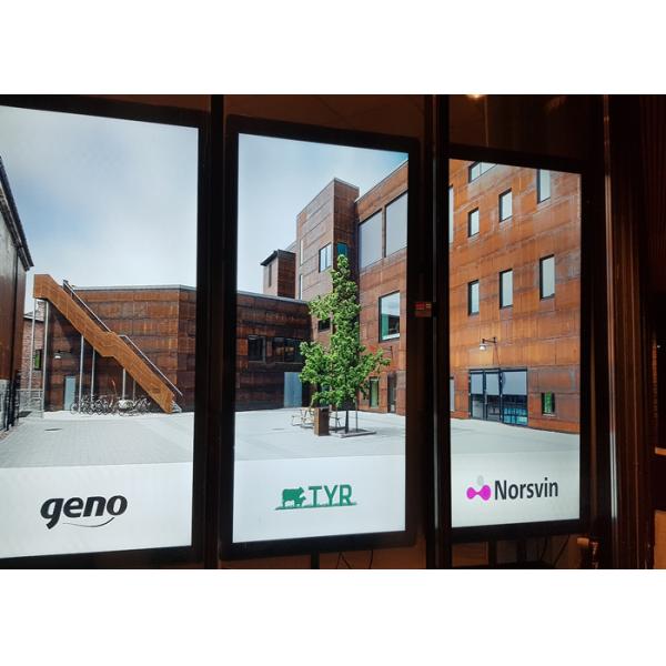 на открытом воздухе цифровой знак всходит на борт стены 65inch установил экран солнечного света 2000nits читаемый