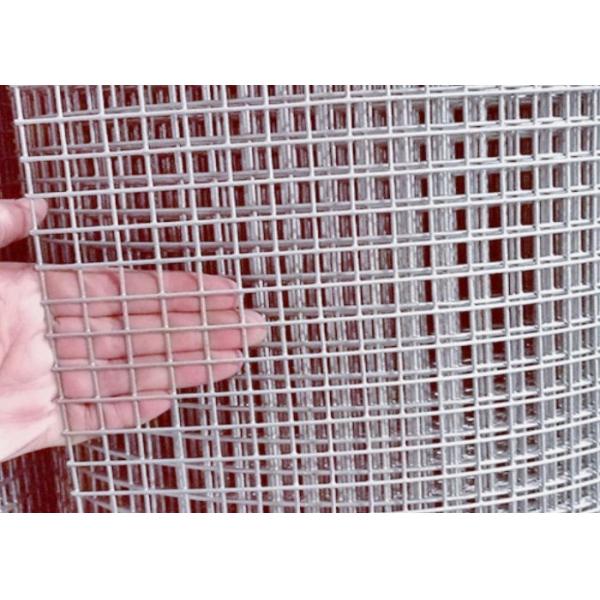 Electro Galvanized Welded Wire Mesh with 50M Roll Length and 0.5m Width for Animal Enclosures