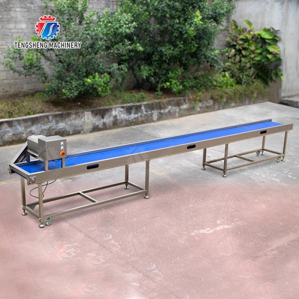Fruit Vegetable sward beans soybeans green beans chickpeas beans red beans mung beans  green peas beans Saiko persimmon Potato Carrot radish onion chili eggplant Conveyor table