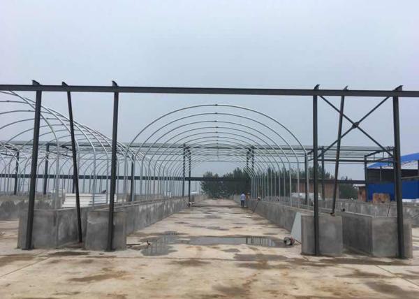 Durable Cold Resistant Outdoor Mushroom Greenhouse With Excellent Insulation