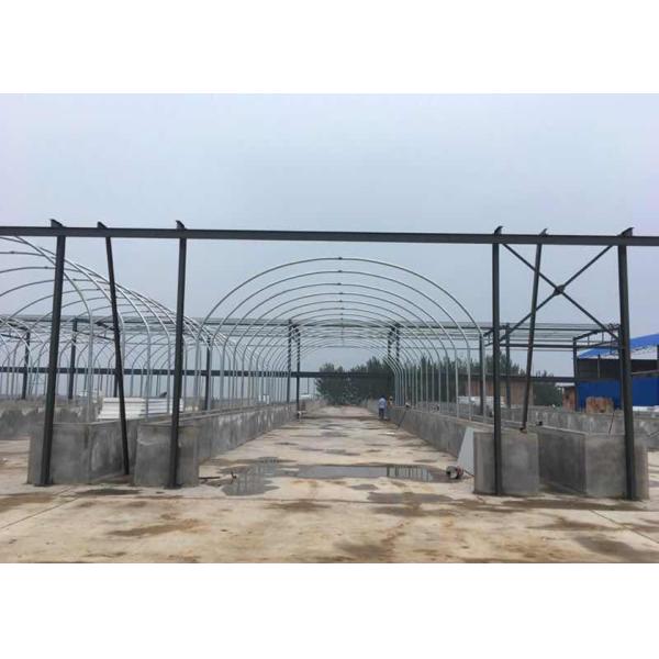 Durable Cold Resistant Outdoor Mushroom Greenhouse With Excellent Insulation