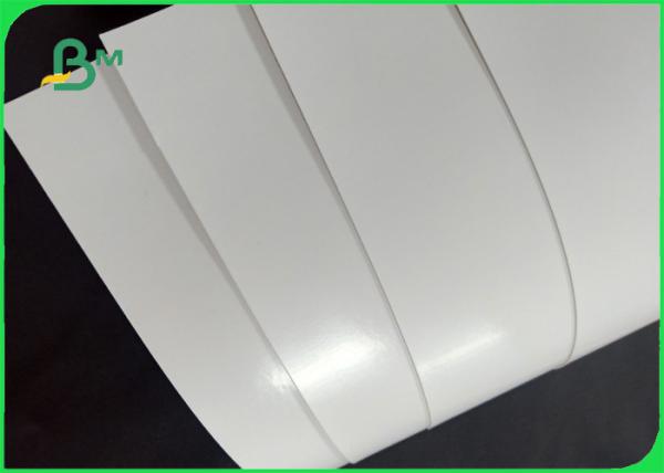 Papel do copo do processability 170gsm-300gsm da resistência alta da explosão bom no rolo