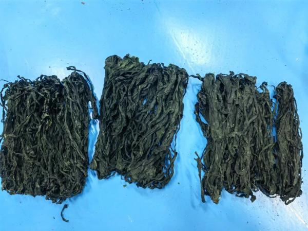 Organic Wakame わかめ Seaweed Dried Sea Vegetable Mustard For Japanese Korean Soup