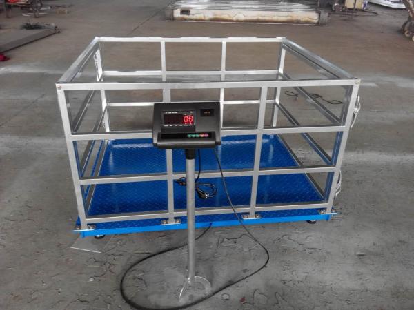 Pesée précise des animaux de 500 g sur les fermes Échelle de bétail avec clôture et support OEM personnalisé