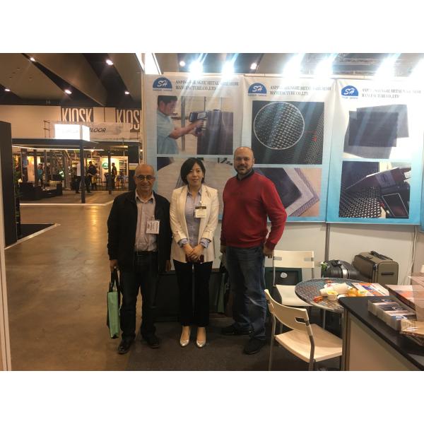 Погружение металла сада евро гальванизировало пластиковый покрытый чугунный ограждать сада