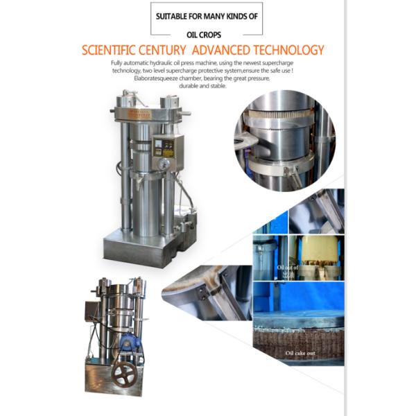 Машина 13.5кг масла мустарда машины прессы гидравлического масла сезама/емкость серии