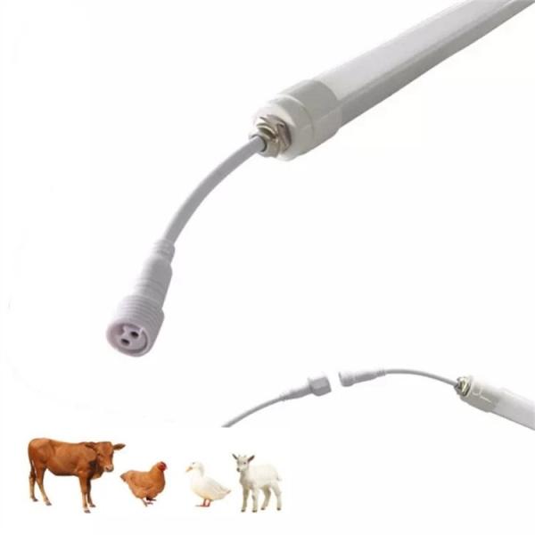 Mercury-free LED Poultry Light with No UV No IR Light Radiation, 5 Year Warranty