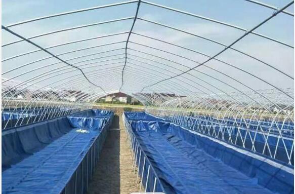 Складной 0,9 мм ПВХ брезент рыбный пруд 30000L рыбный пруд Пластиковый резервуар Diy рыбный пруд