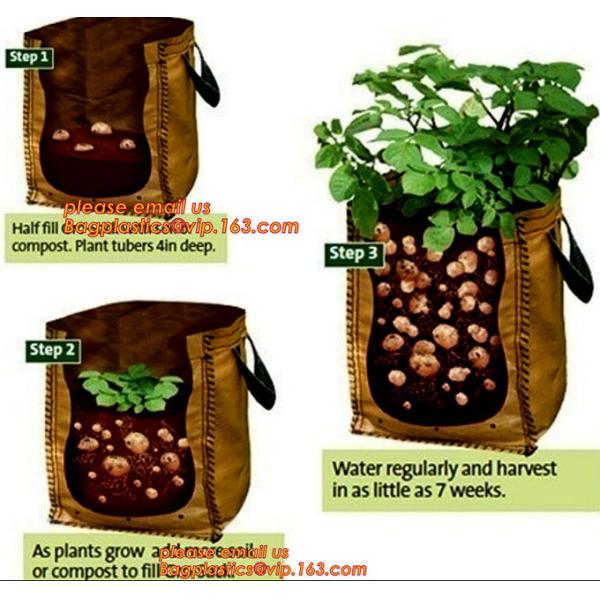 Eco-Friendly PE Potato Growing Bag Garden Planter Bags Reusable Washable Grow Pots Waterproof, Smart Pots for Vegetable