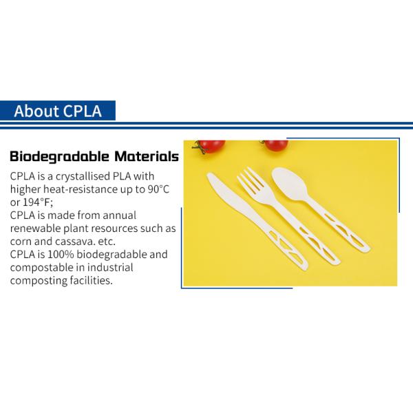 Individually Wrapped Food Grade Disposable Cutlery Biodegradable Transparent