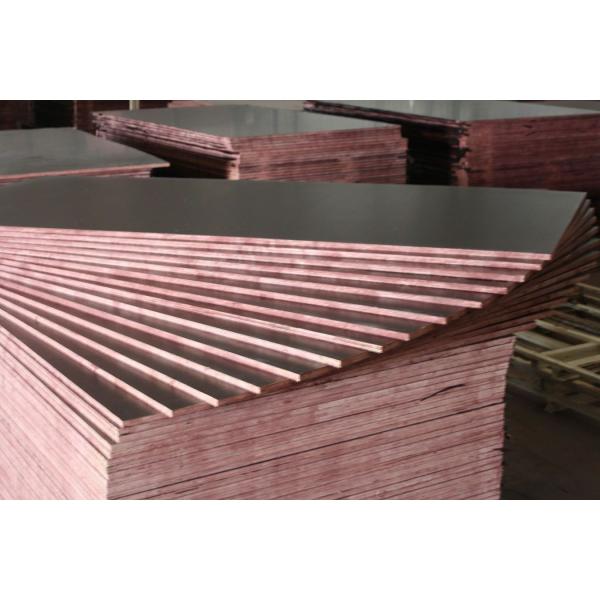 constrution plywood manufacture