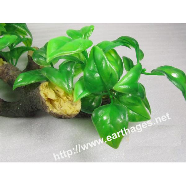 Simulation grasses,aquarium sight, no- influence plastics grasses,green Y909