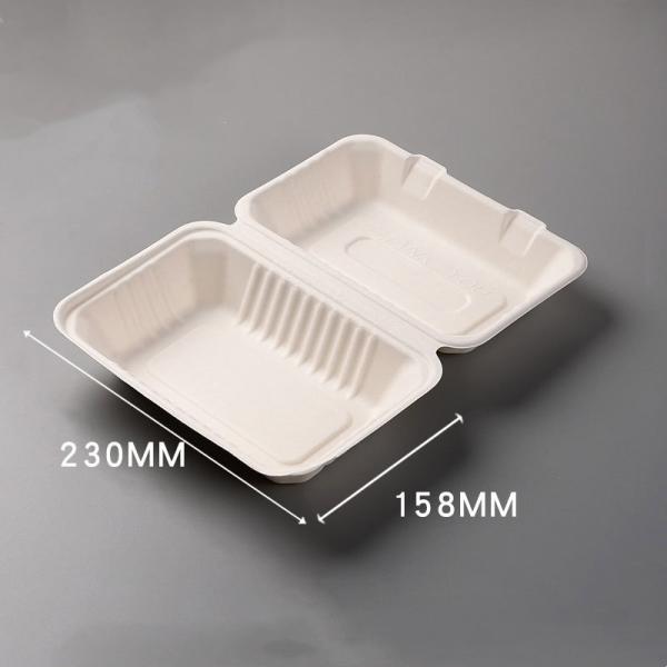 Eco-Friendly Disposable Packaging Boxes for Multi Color Biodegradable Fruits and Eggs