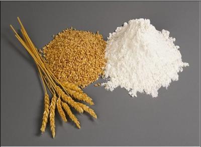 Wheat Gluten Meal Protein Content 75% Min , on Dry Basis , N X 5.7 HS code 1109.0000