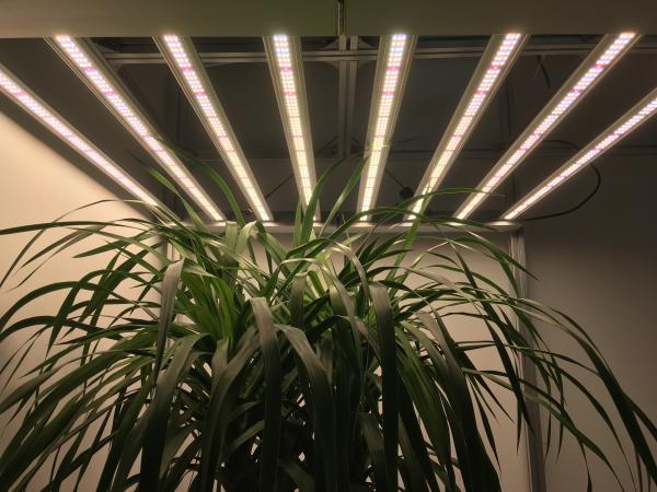 680W ETL approval UV LED Grow Lights bar with full spectrum for medical plants grow systems