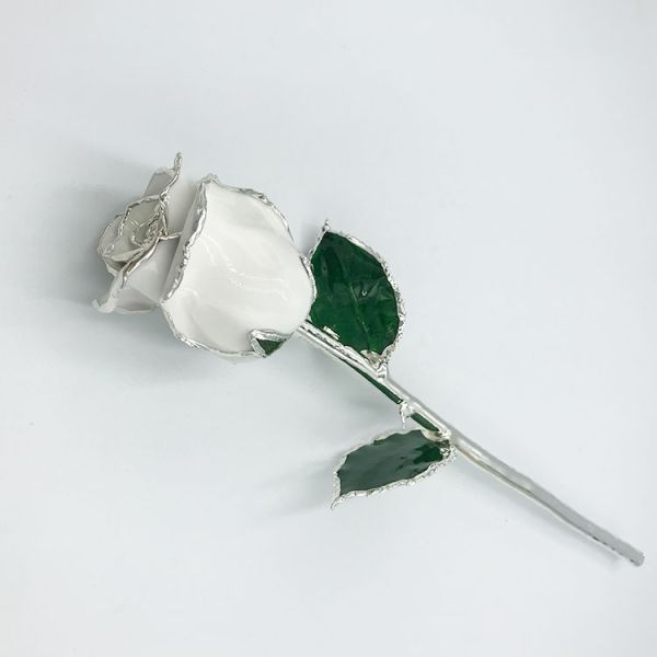 Silver Trimmed  Real Roses Romantic Gifts Beautiful Flower Decoration Hot Sale