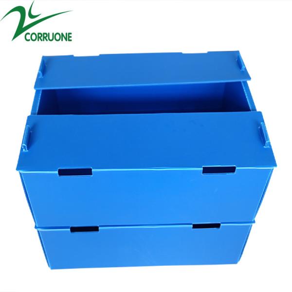 Corruone waterproof Fruit Vegetable Packing PP Cartonplast Grapes Packing Boxes Plastic Broccoli Boxes Corrugated Ginger box