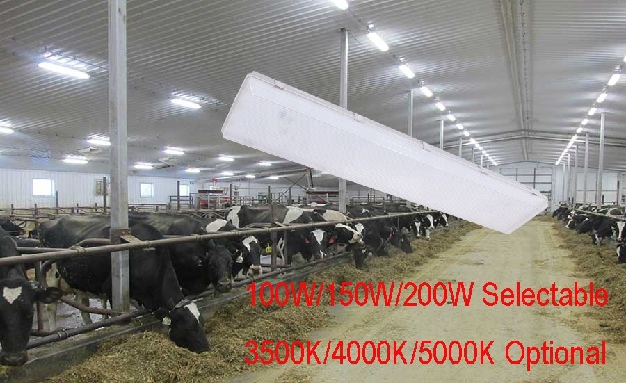 100W 3500K 4FT LED Vapor Tight Light Fixture with Transparent Polycarbonate Diffuser