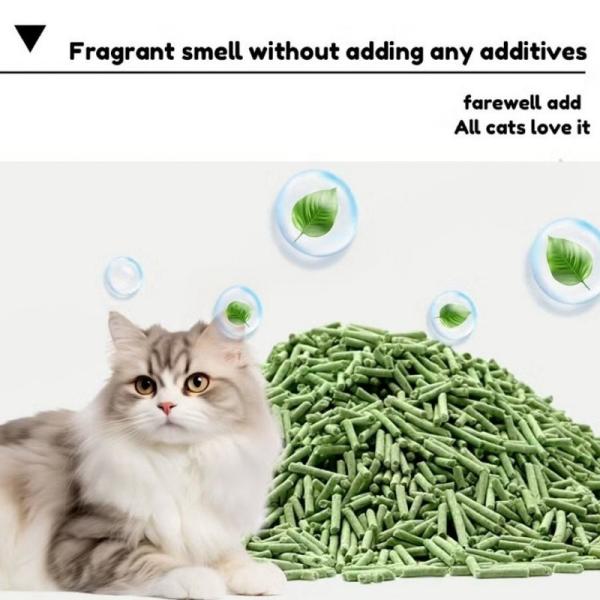 Litière pour chat agglomérante, écologique, durable, organique, au soja, au thé vert, et jetable dans les toilettes