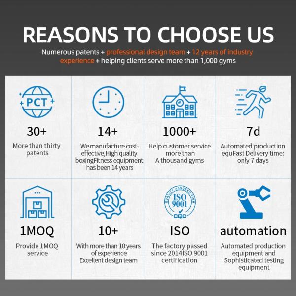 Professional Stage Elevated Boxing Ring