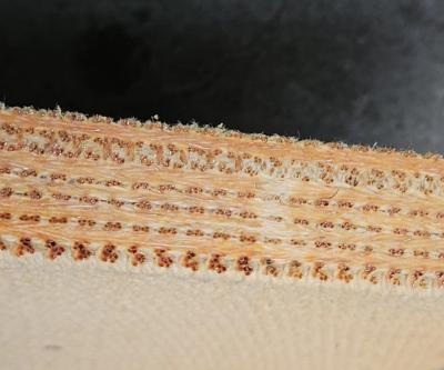 Brass Wire Reinforced Brake Blocks Wire Woven Brake Block Material for Oil Well