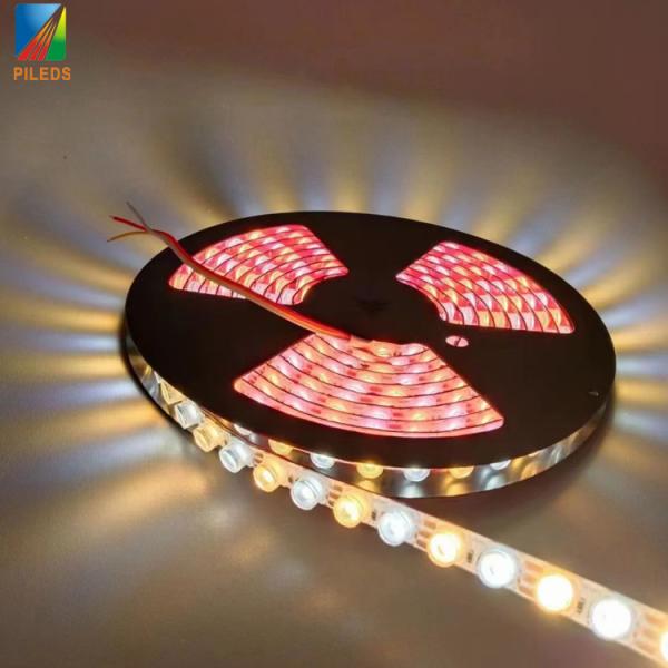 3000K 6000K LED Wall Washer Lights Outdoor Com CRI 80 30 Graus ângulo de feixe