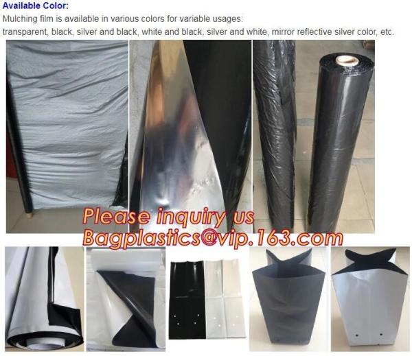 Greenhouse, Agricultural Polyethylene Film, Mulch Films, Horticultural Products, Perforated Wrap, Tomato, Flowers