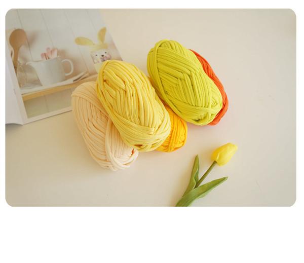 100g /200g/400g Roll 100% Polyester T-Shirt Yarn 2cm 3cm Width For Bags