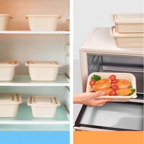 Biodegradable Eco Friendly Takeaway Boxes Waterproof And Oil Resistant