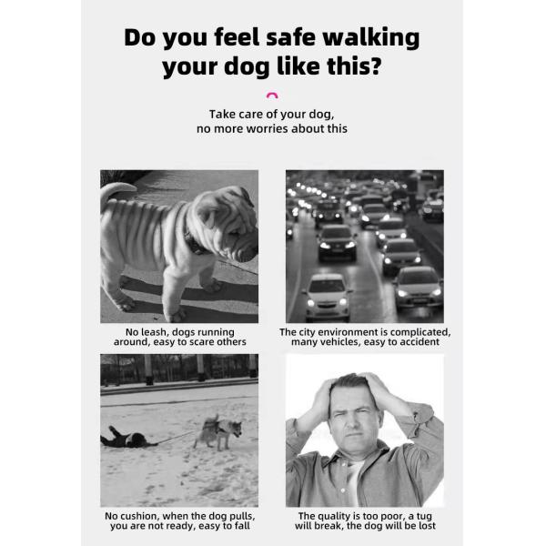 Cuerdas de tracción de estilo simple Perros de mascota ajustable correa multicolor