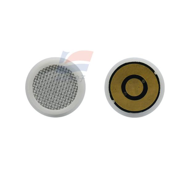 AOP10 Micro Capteur d'Oxygène - Limite de Détection Basse - Réponse Électrochimique Rapide